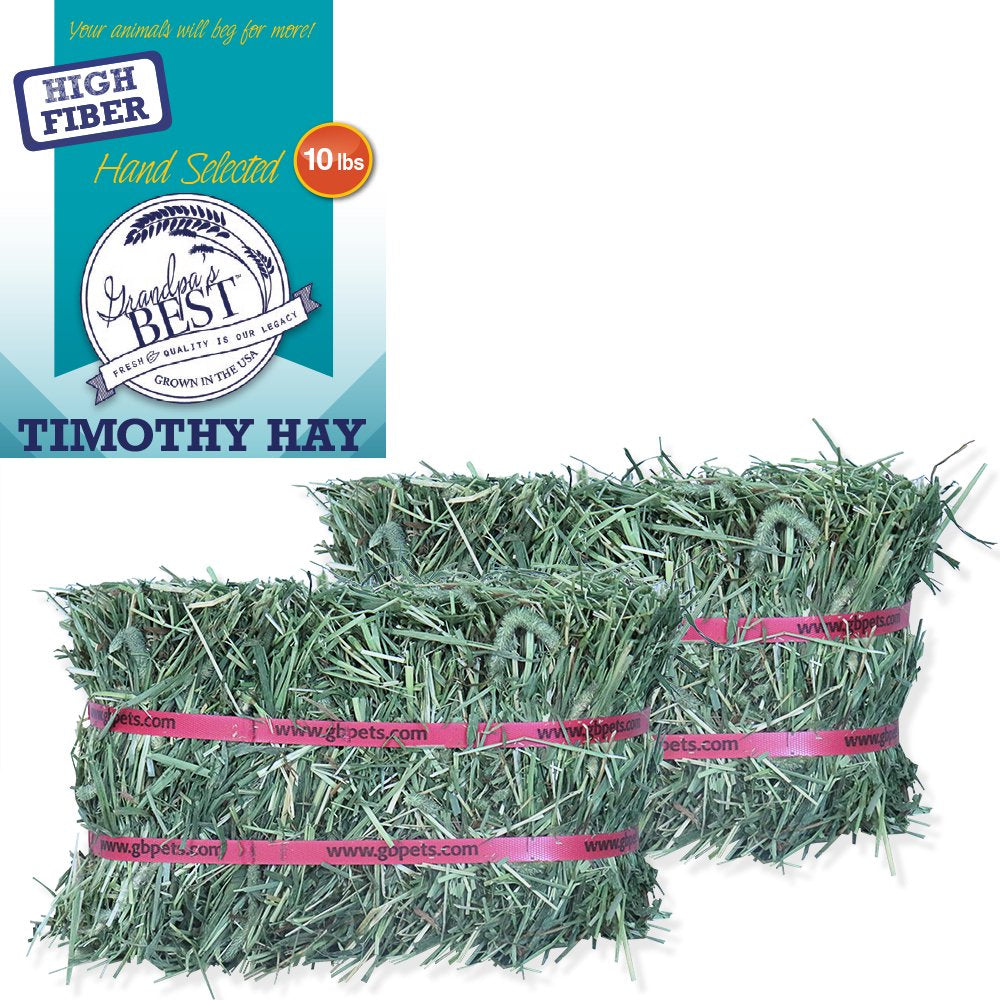 Grandpa'S Best Timothy Hay Mini Bale for Small Animals - 10Lb Animals & Pet Supplies > Pet Supplies > Small Animal Supplies > Small Animal Food Grandpa's Best LLC   