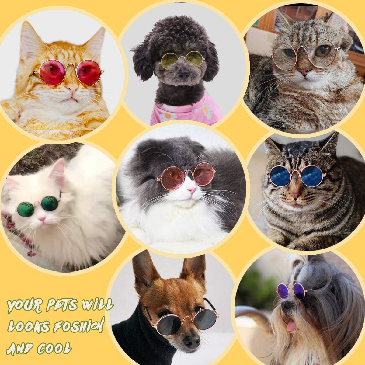 Pibupibu 12 Pieces Colorful Small Pet Cat Dog Sunglasses, round Metal Retro Party Favors Dog Glasses Cute Funny Cosplay Toys Costume Photos Props Animals & Pet Supplies > Pet Supplies > Dog Supplies > Dog Apparel HO ME Fashion Jewelry CO., LTD   