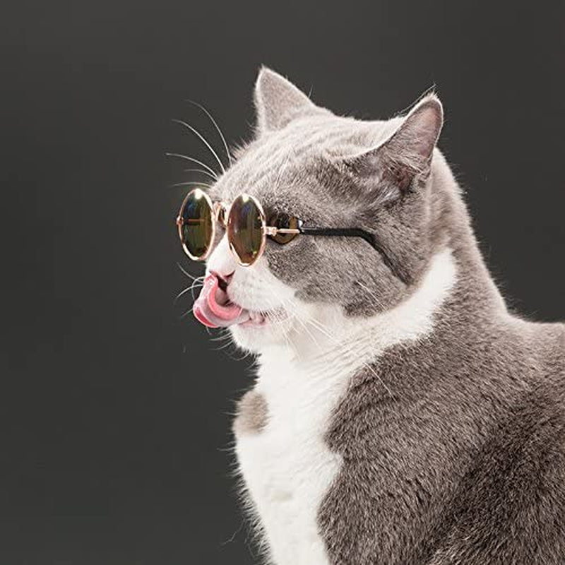 Coolrunner Cute and Funny Pet Sunglasses Classic Retro Circular Metal Prince Sunglasses for Cats or Small Dogs Fashion Costume Animals & Pet Supplies > Pet Supplies > Dog Supplies > Dog Apparel Coolrunner   