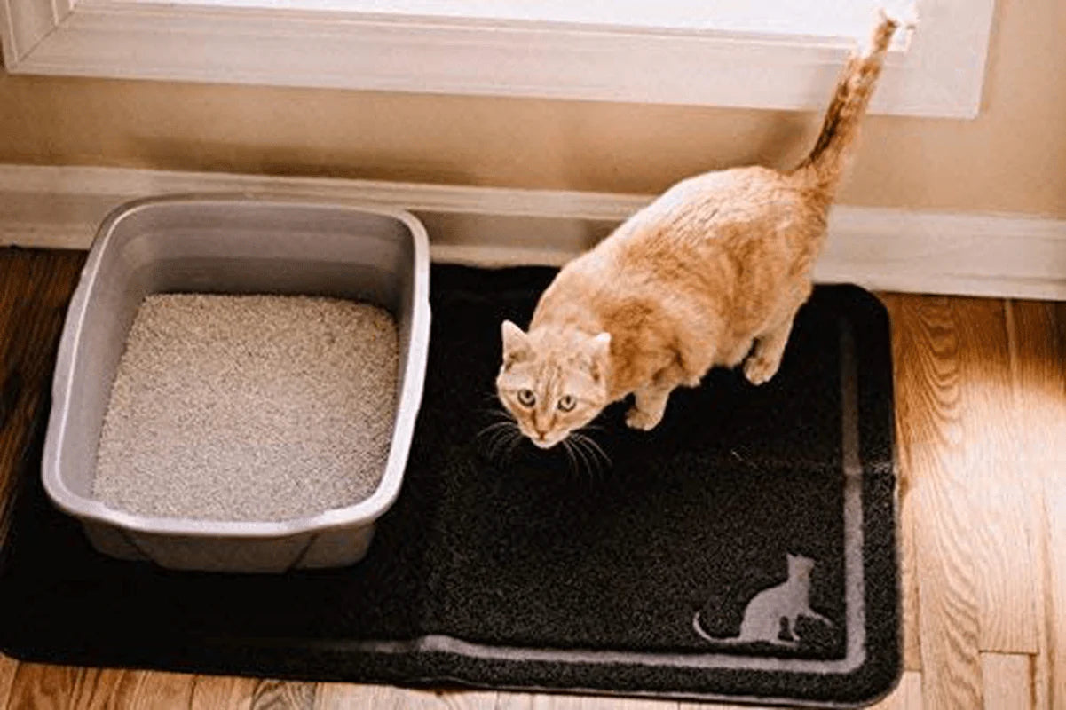 Caldwell'S Large Cat Litter Mat Durable Litter Box Mat Heavy Duty Waterproof anti Slip XL Kitty Litter Mat Cat Pad Easy Clean Scatter Control Pet Food Bowl Mat Soft on Paws Urine Proof Animals & Pet Supplies > Pet Supplies > Cat Supplies > Cat Litter Box Mats Caldwell's Pet Supply Co.   