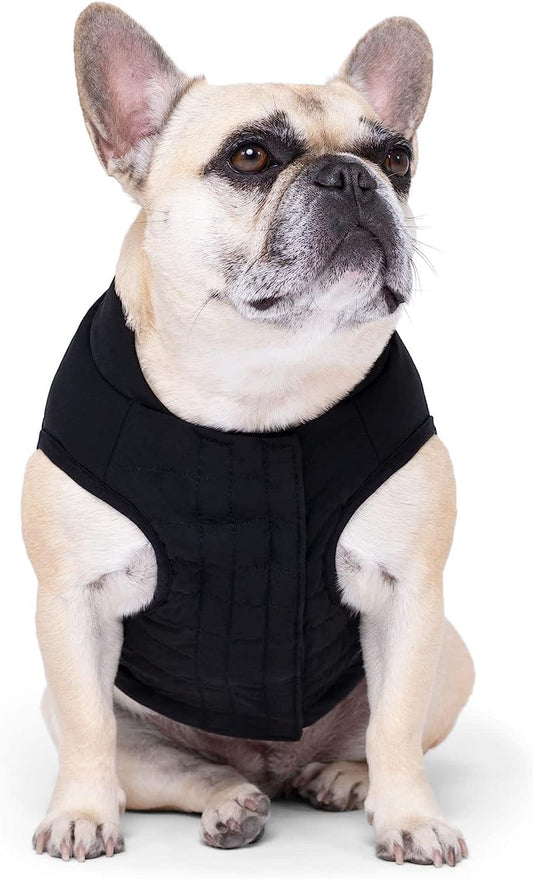 Canada Pooch Black Ultimate Stretch Dog Vest, 3X-Large Animals & Pet Supplies > Pet Supplies > Dog Supplies > Dog Apparel Canada Pooch   