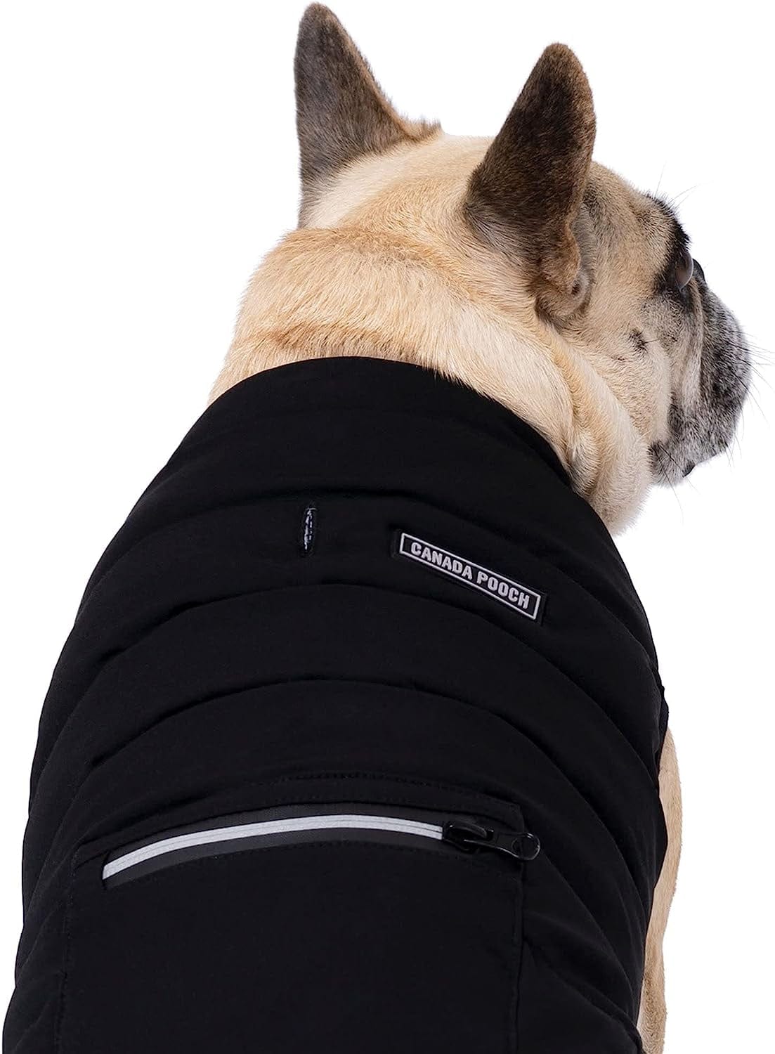 Canada Pooch Black Ultimate Stretch Dog Vest, 3X-Large Animals & Pet Supplies > Pet Supplies > Dog Supplies > Dog Apparel Canada Pooch   