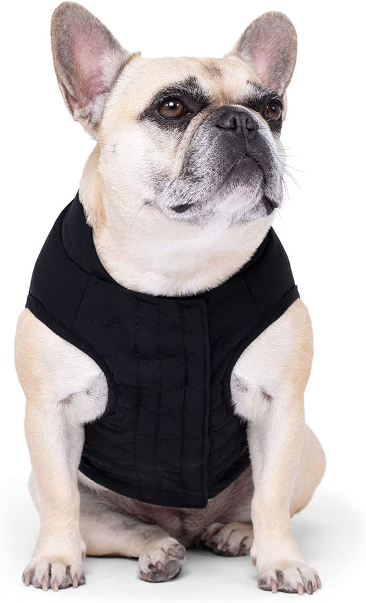 Canada Pooch Black Ultimate Stretch Dog Vest, Large Animals & Pet Supplies > Pet Supplies > Dog Supplies > Dog Apparel Canada Pooch   