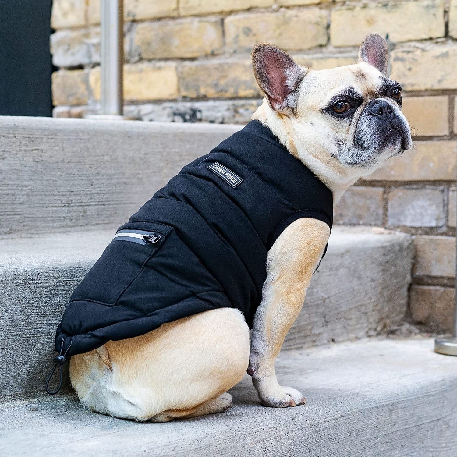 Canada Pooch Black Ultimate Stretch Dog Vest, Large Animals & Pet Supplies > Pet Supplies > Dog Supplies > Dog Apparel Canada Pooch   