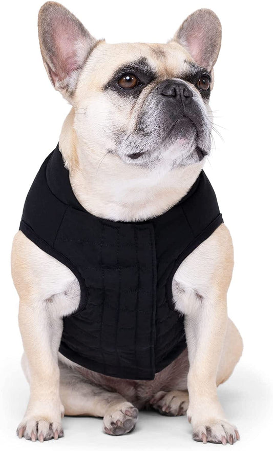 Canada Pooch Black Ultimate Stretch Dog Vest, Small Animals & Pet Supplies > Pet Supplies > Dog Supplies > Dog Apparel Canada Pooch   
