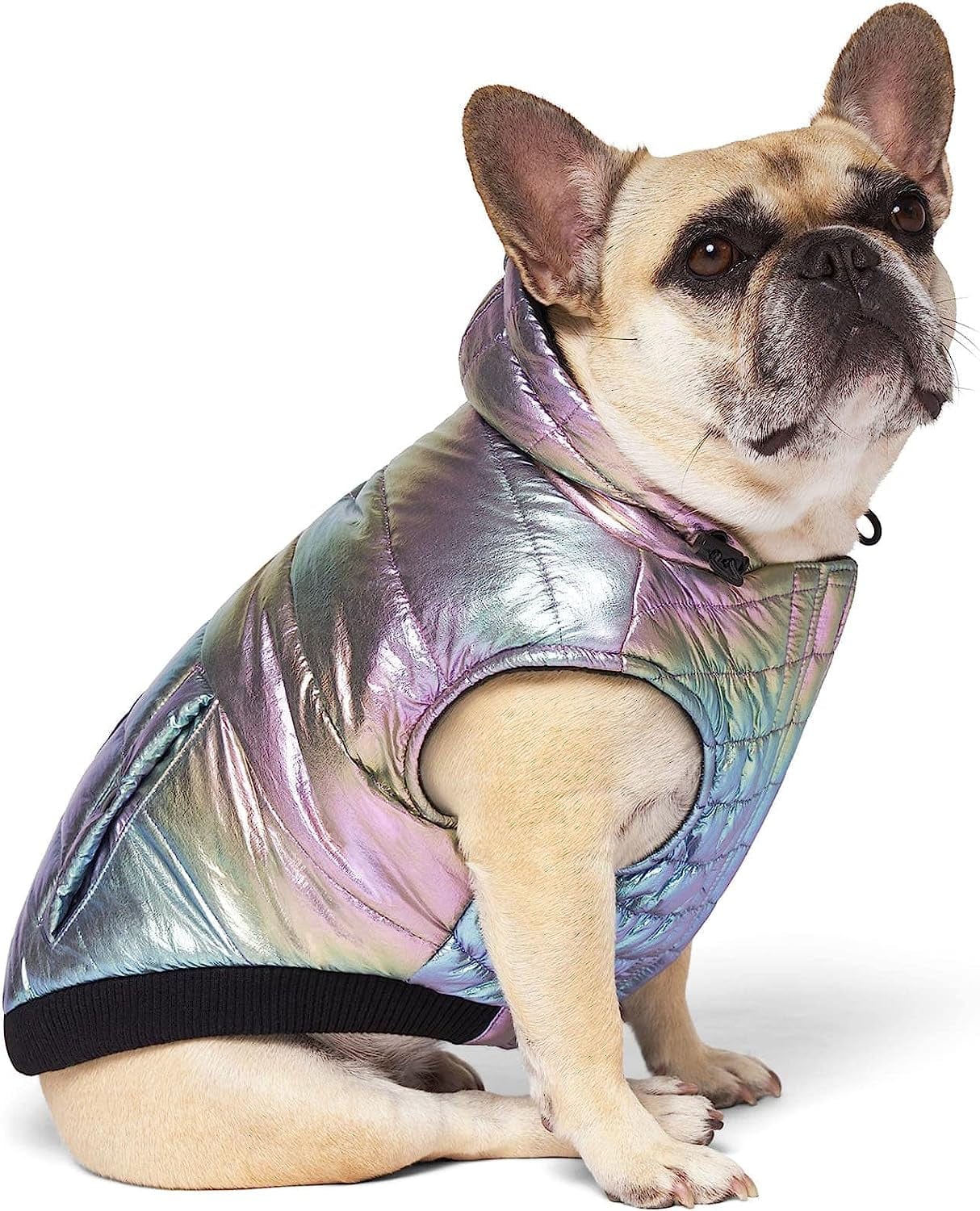 Canada Pooch Iridescent Shiny Puffer Vest for Dogs, 3X-Large Animals & Pet Supplies > Pet Supplies > Dog Supplies > Dog Apparel Canada Pooch   