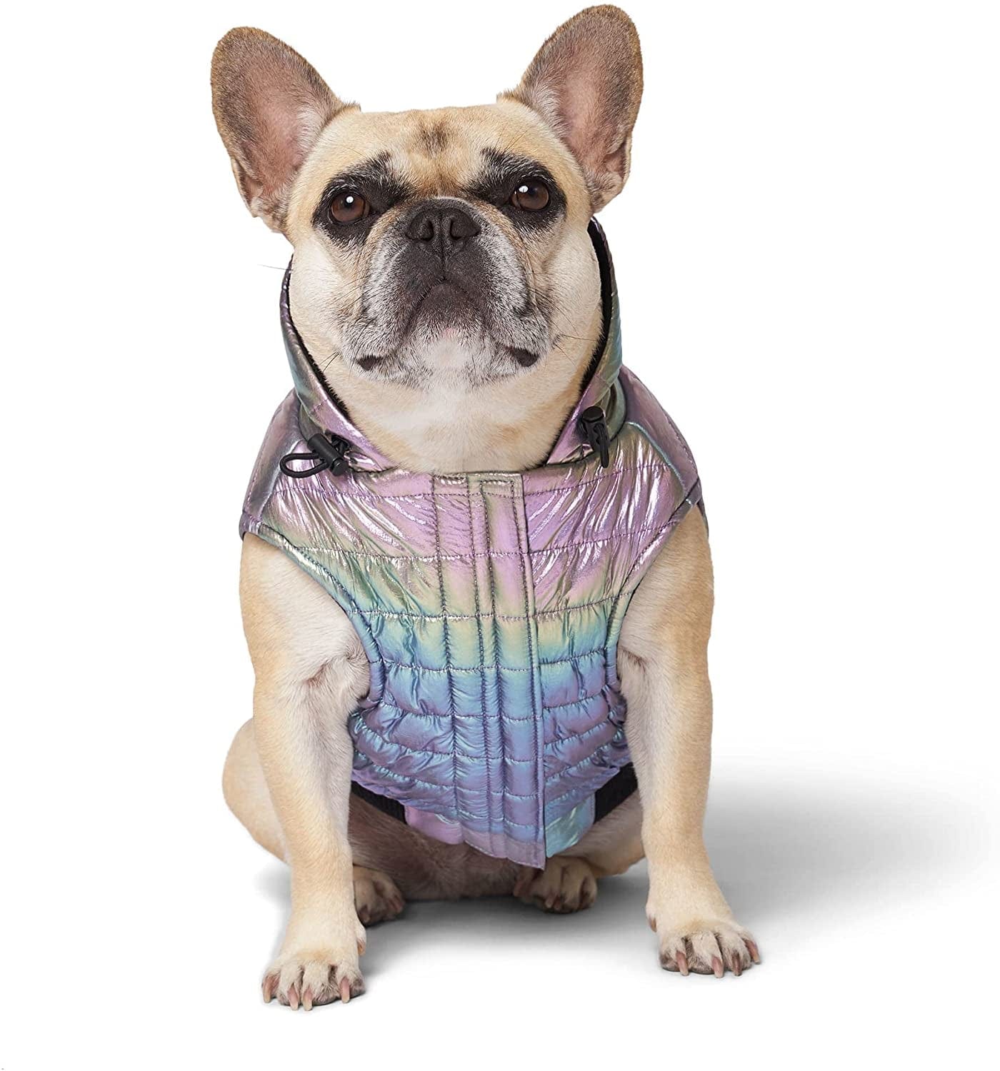 Canada Pooch Iridescent Shiny Puffer Vest for Dogs, 3X-Small Animals & Pet Supplies > Pet Supplies > Dog Supplies > Dog Apparel Canada Pooch   