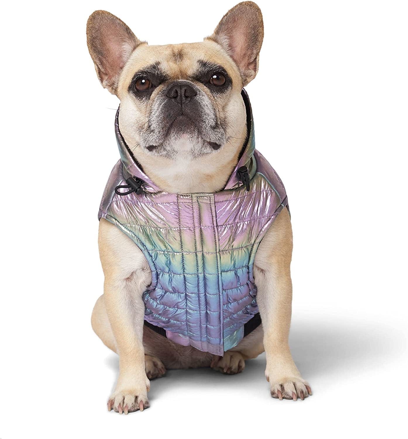 Canada Pooch Iridescent Shiny Puffer Vest for Dogs, Xx-Small Animals & Pet Supplies > Pet Supplies > Dog Supplies > Dog Apparel Canada Pooch   