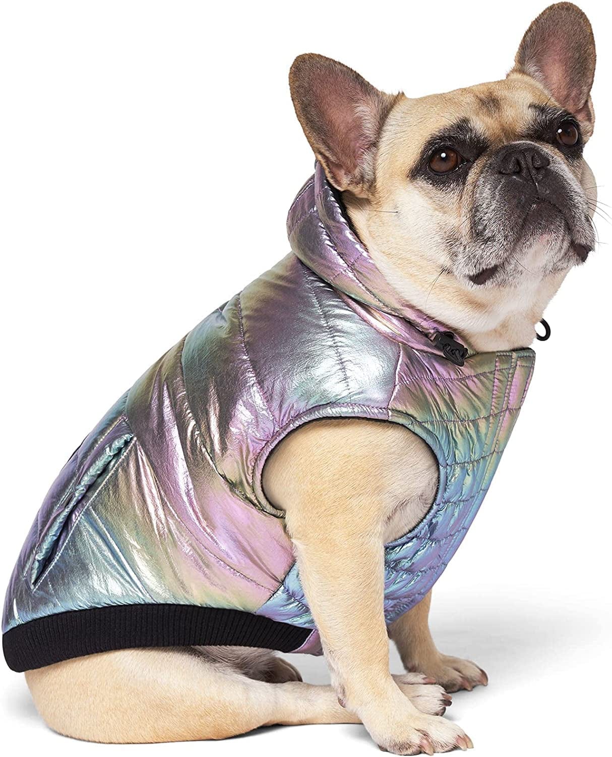 Canada Pooch Iridescent Shiny Puffer Vest for Dogs, Xx-Small Animals & Pet Supplies > Pet Supplies > Dog Supplies > Dog Apparel Canada Pooch   