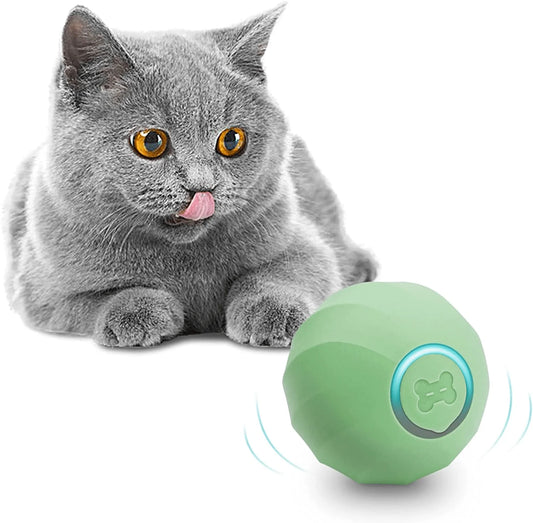Cat'S Interactive Automatic Toy Ball Electronic Rechargeable Cute Smart Toy for Kittens Animals & Pet Supplies > Pet Supplies > Cat Supplies > Cat Toys Cheerble Matcha Green  