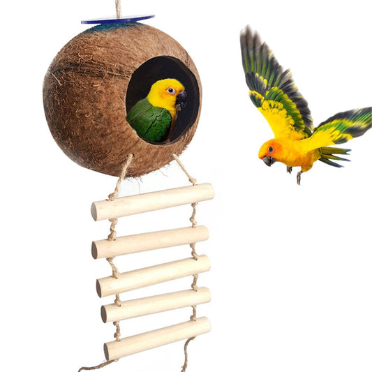 AURORA TRADE Hanging Coconut Bird House with Ladder,Natural Coconut Fiber Shell Bird Nest for Parrot Parakeet Lovebird Finch Canary,Coconut Hide Bird Swing Toys for Hamster,Bird Cage Accessories Animals & Pet Supplies > Pet Supplies > Bird Supplies > Bird Cage Accessories AURORA TRADE With ladder  