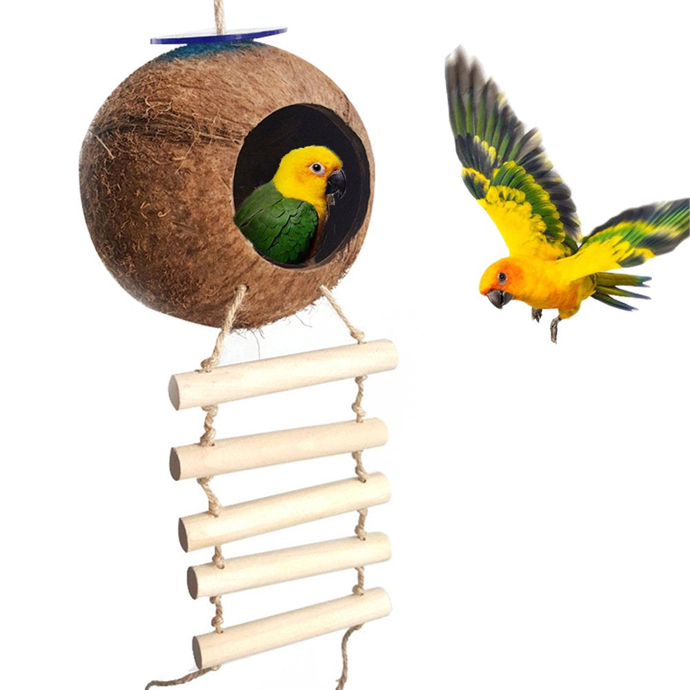 AURORA TRADE Hanging Coconut Bird House with Ladder,Natural Coconut Fiber Shell Bird Nest for Parrot Parakeet Lovebird Finch Canary,Coconut Hide Bird Swing Toys for Hamster,Bird Cage Accessories Animals & Pet Supplies > Pet Supplies > Bird Supplies > Bird Toys AURORA TRADE With ladder  