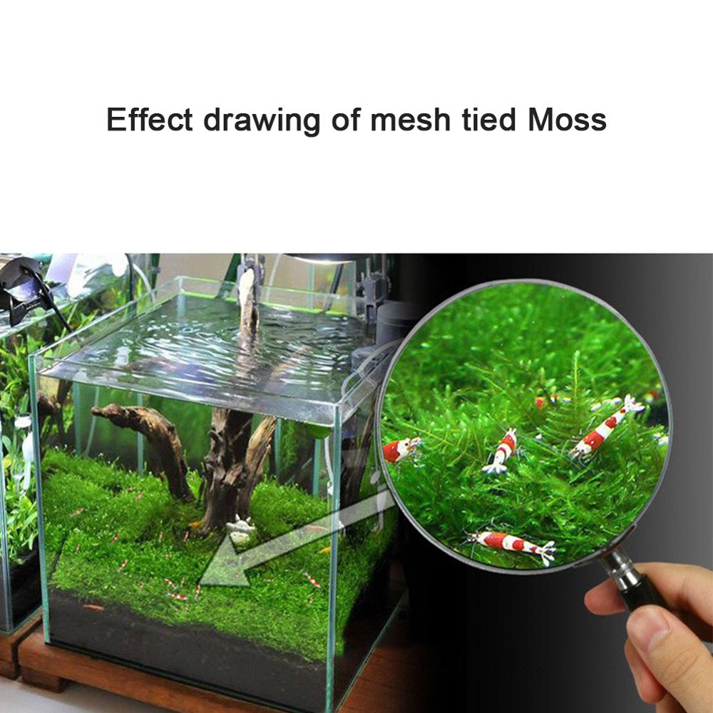 SKQOUI Free Shipping 10Pcs DIY Decoration Invisible Fish Tank Aquarium Plant Net Moss Stainless Steel Animals & Pet Supplies > Pet Supplies > Fish Supplies > Aquarium Fish Nets SKQOUI   