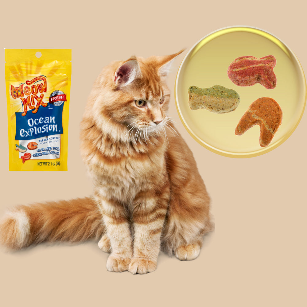 Meow Mix Ocean Explosion Crunchy Cat Treats, 2.1Oz Irresistible Dry Fish & Tuna Shaped Bite-Sized Feline Food Pack of 2 Animals & Pet Supplies > Pet Supplies > Cat Supplies > Cat Treats NS   