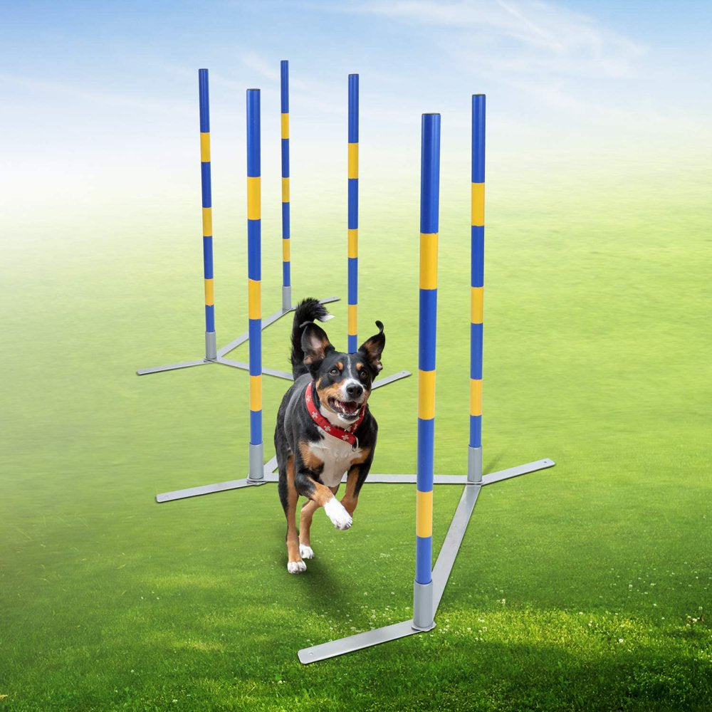 CHIE Dog Agility Equipment - Agility Set Dog Weaving Poles Dog Obstacle Course, Training Equipment, Competition Grade Animals & Pet Supplies > Pet Supplies > Dog Supplies > Dog Treadmills CHIE   