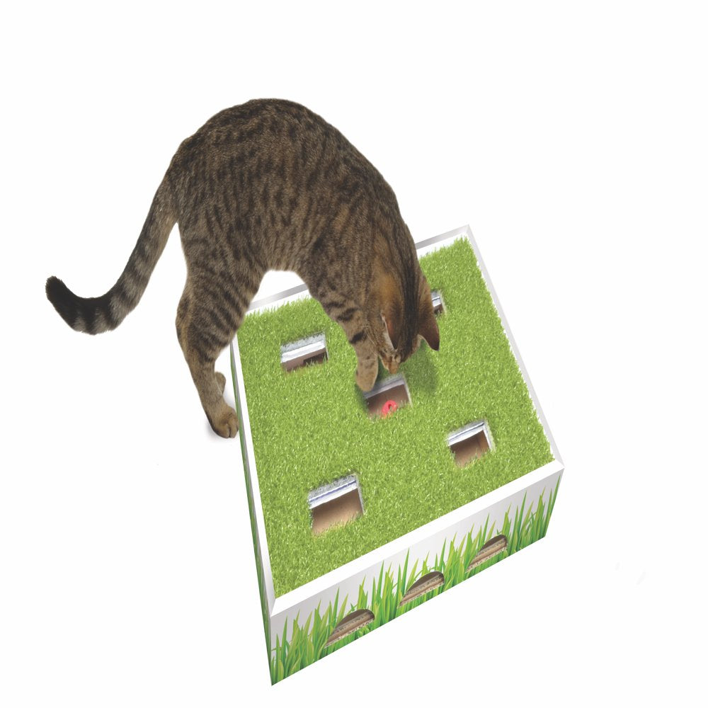 Petstages Grass Patch Hunting Box Interactive Cat Toy, Green, One-Size Animals & Pet Supplies > Pet Supplies > Cat Supplies > Cat Toys Outward Hound Holdings   