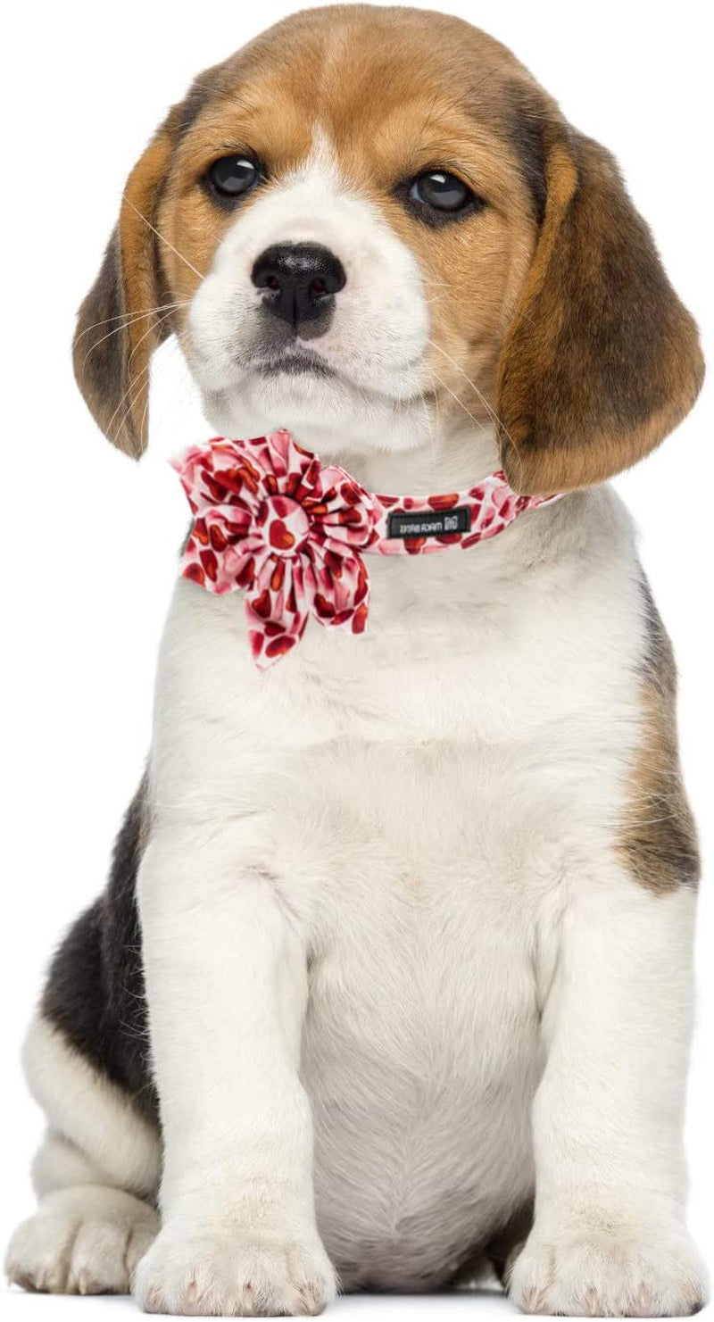 MACA Bates Valentine’S Day Dog Collar with Bow/Flower/Bow Tie, Sweet Heart Adjustable Collar for Small Medium Large Dog with Metal Buckle Animals & Pet Supplies > Pet Supplies > Dog Supplies > Dog Apparel M MACA BATES   