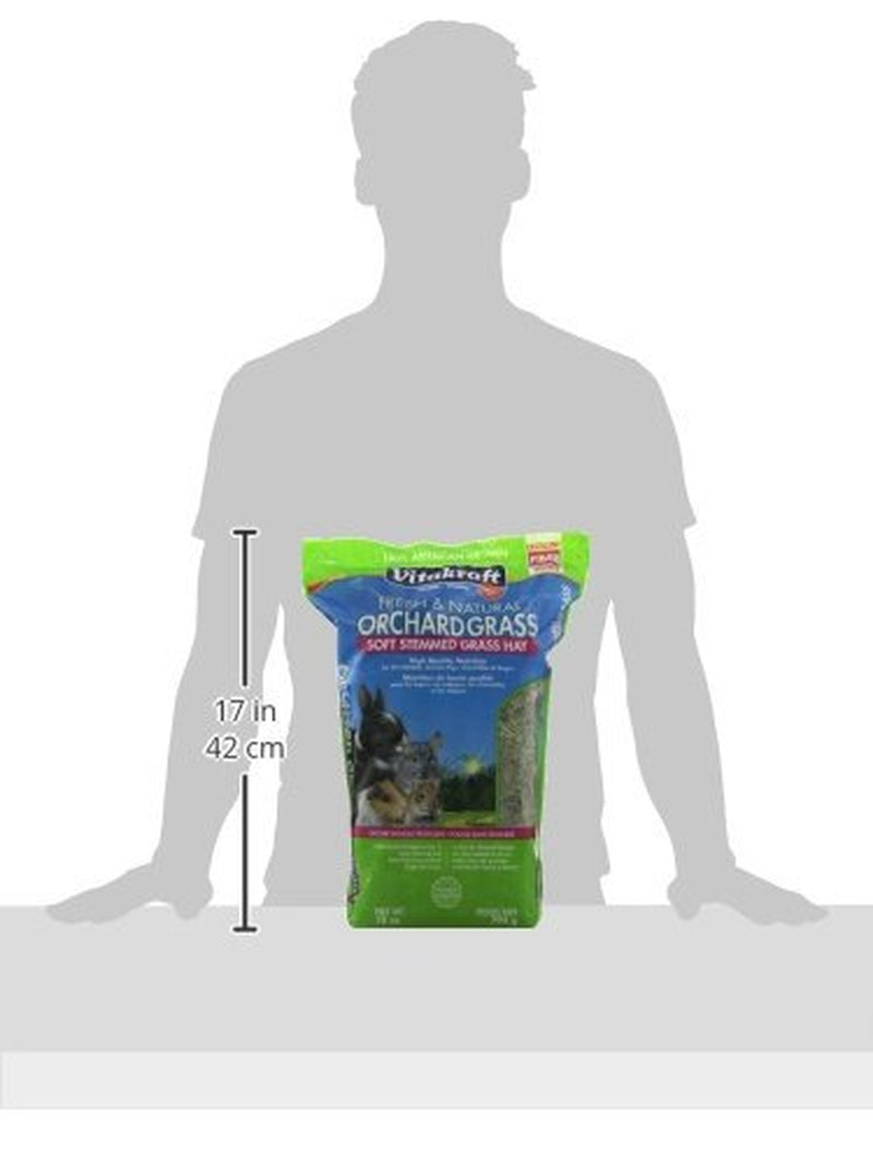 Vitakraft Orchard Grass Hay for Rabbits, Guinea Pigs, Chinchillas & Small Animals, 28 Oz Animals & Pet Supplies > Pet Supplies > Small Animal Supplies > Small Animal Food Vitakraft Sun Seed   
