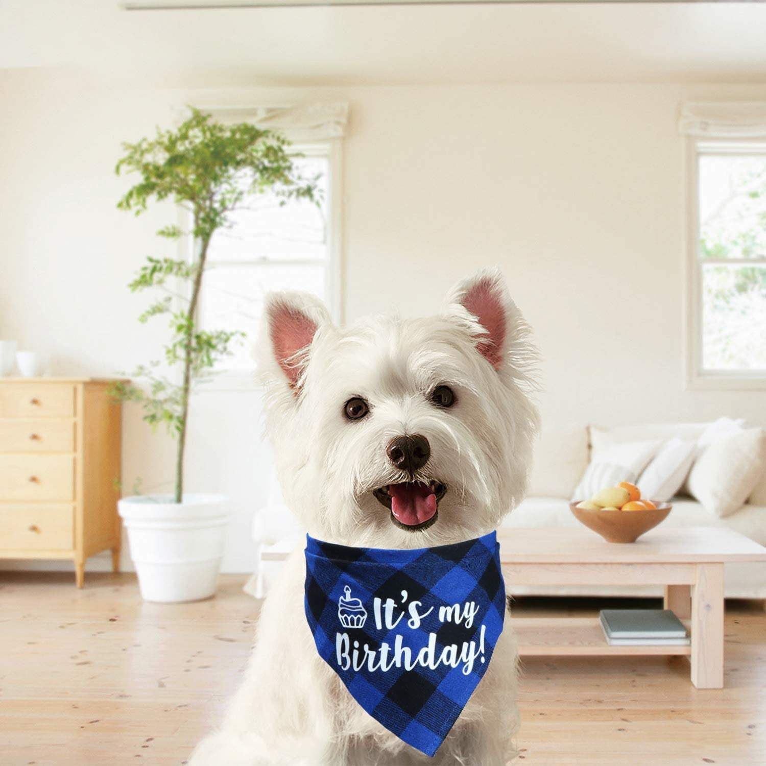 STMK Dog Birthday Bandana, It’S My Birthday Plaid Dog Puppy Birthday Bandana Triangle Scarf for Dog Puppy Birthday Party Supplies (Blue) Animals & Pet Supplies > Pet Supplies > Dog Supplies > Dog Apparel STMK   