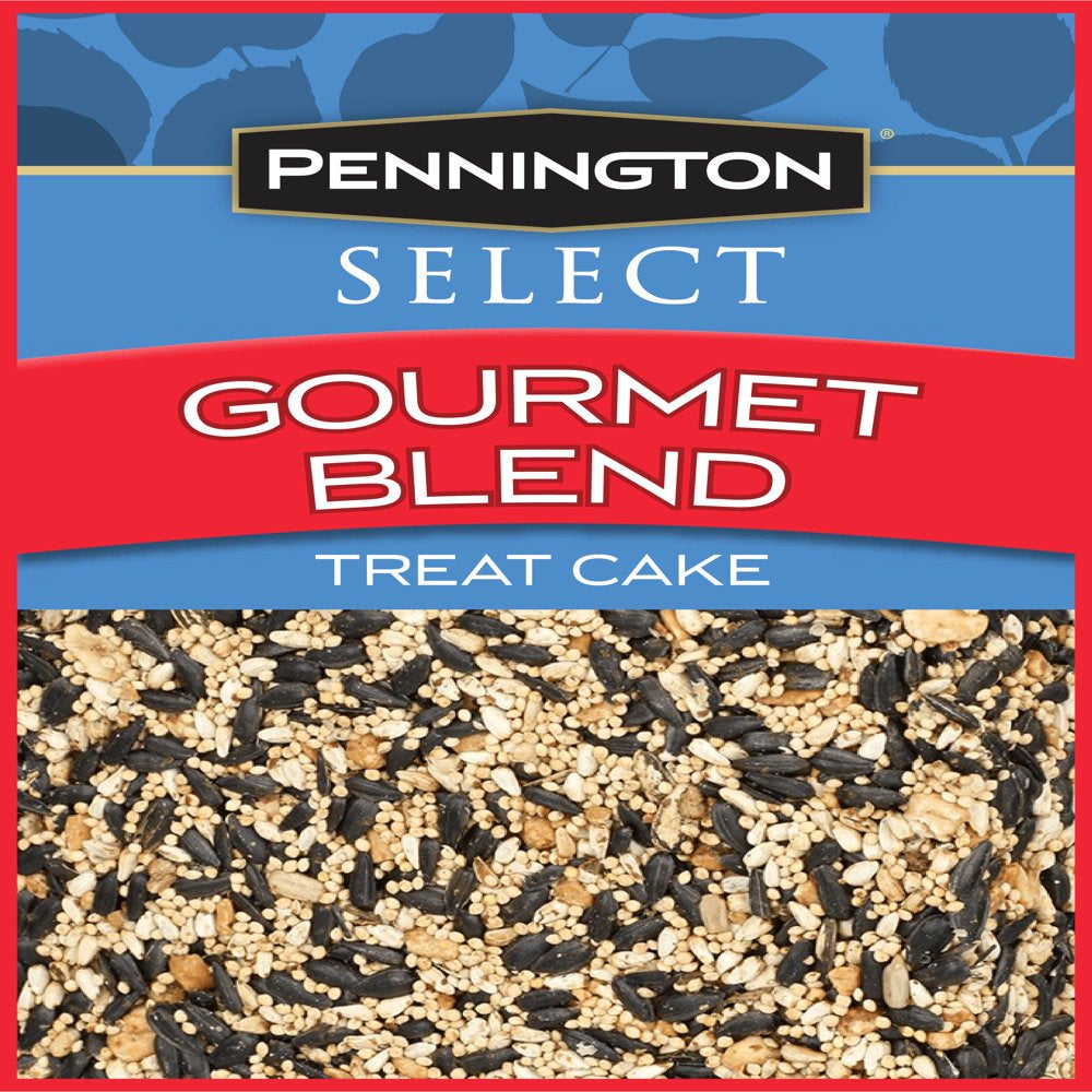 Pennington Premium Gourmet Wild Bird Seed Cake, 2 Lb. Animals & Pet Supplies > Pet Supplies > Bird Supplies > Bird Treats CENTRAL GARDEN & PET COMPANY   