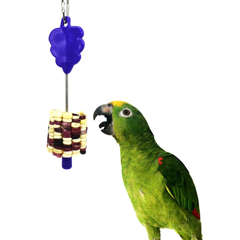 AOOOWER Stainless Steel Meat Food Holder Stick Fruit Skewer Bird Treating Tool Parrot Toy Cage Accessories Animals & Pet Supplies > Pet Supplies > Bird Supplies > Bird Cage Accessories AOOOWER   