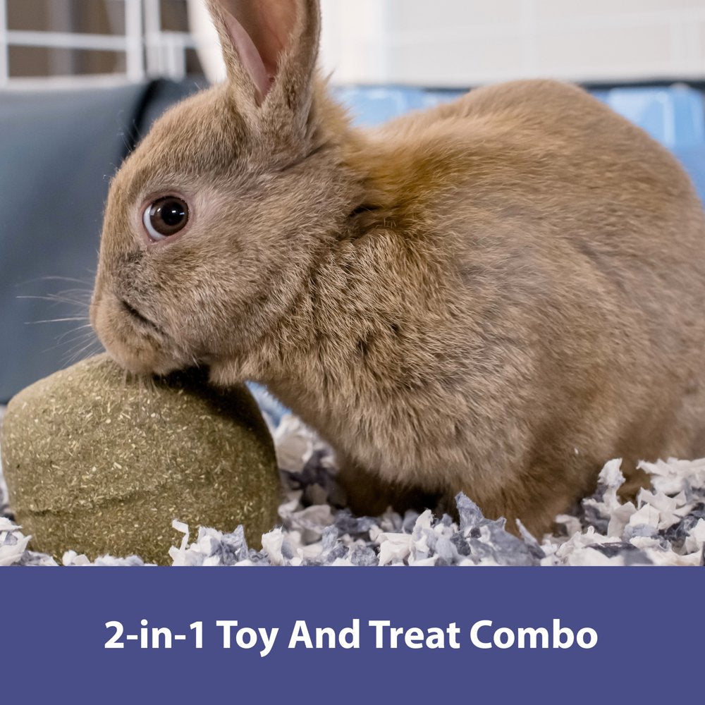 Kaytee Forti-Diet Timothy Roll 'N' Toss Small Animal Treat & Toy Animals & Pet Supplies > Pet Supplies > Small Animal Supplies > Small Animal Treats Central Garden and Pet   