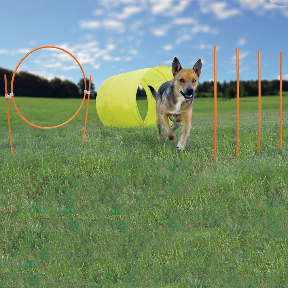 Outward Hound Dog Agility Starter Kit Outdoor