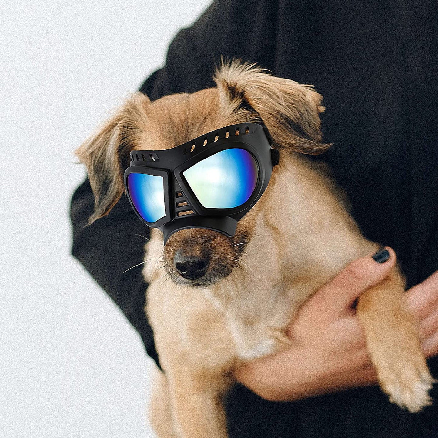 ENJOYING Small Dog Goggles Anti-Uv Doggy Sunglasses Soft Pet Motorcycle Eyewear Fog-Proof Windproof Shatterproof Dog Glasses for Small-Medium Dogs, Blue Animals & Pet Supplies > Pet Supplies > Dog Supplies > Dog Apparel Enjoying Blue Small 