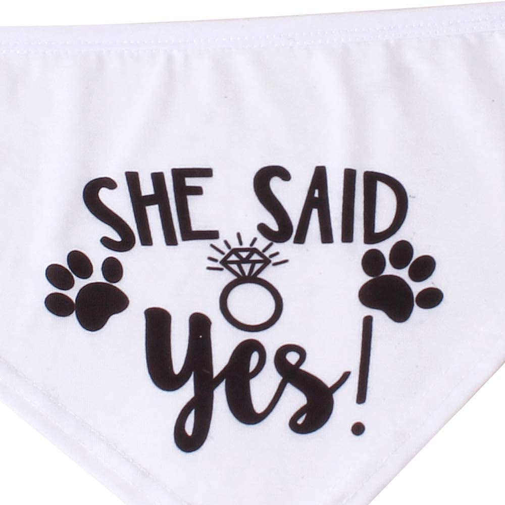 HDGDT She Said Yes Dog Bandana, Wedding Dog Bandana, Dog Engagement Announcement, Wedding Photo Prop, Pet Scarf, Petphoto Prop, Pet Scarf, Pet Accessories Animals & Pet Supplies > Pet Supplies > Dog Supplies > Dog Apparel MY   