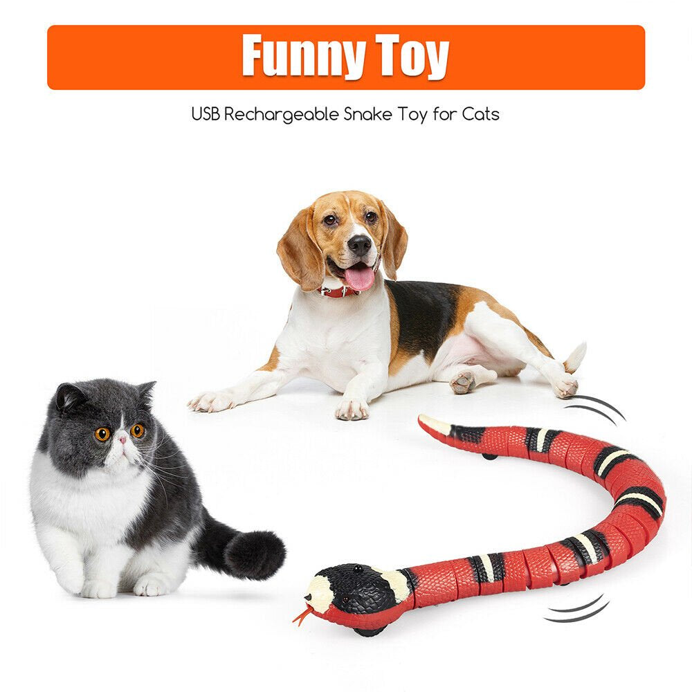 Jahyshow Smart Sensing Snake Cat Toys Electron Interactive Toys for Cats Dog USB Charging Animals & Pet Supplies > Pet Supplies > Cat Supplies > Cat Toys JahyShow   