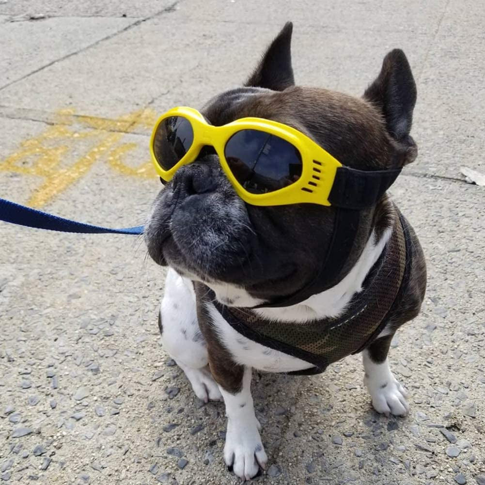 Enjoying Pet/Dog Puppy UV Goggles Sunglasses Waterproof Protection Sun Glasses for Dog - Yellow Animals & Pet Supplies > Pet Supplies > Dog Supplies > Dog Apparel Enjoying   