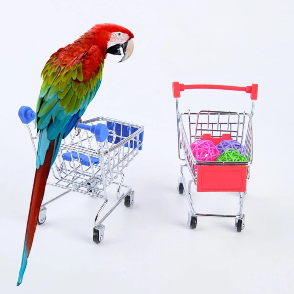 Bojue Creative Bird Toy Set Plastic Conure Funny Daily Play Interactive Durable Pet Toy Accessories Animals & Pet Supplies > Pet Supplies > Bird Supplies > Bird Toys Bojue   