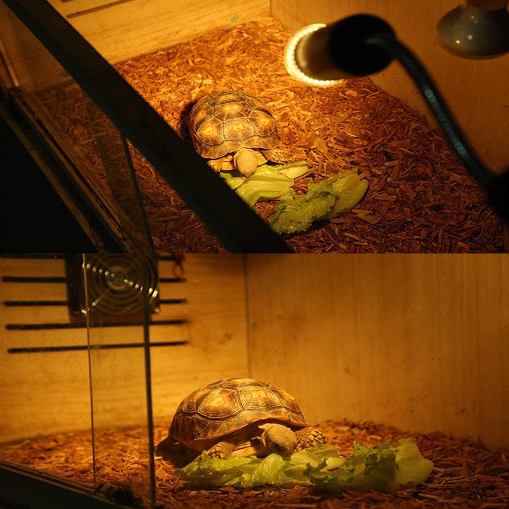 Heat Lamp for Reptiles Turtle,Clamp Lamp Holder with Halogen Bulb,Heating Lamp for Reptile and Amphibian Habitat Basking Animals & Pet Supplies > Pet Supplies > Reptile & Amphibian Supplies > Reptile & Amphibian Habitats Peralng   