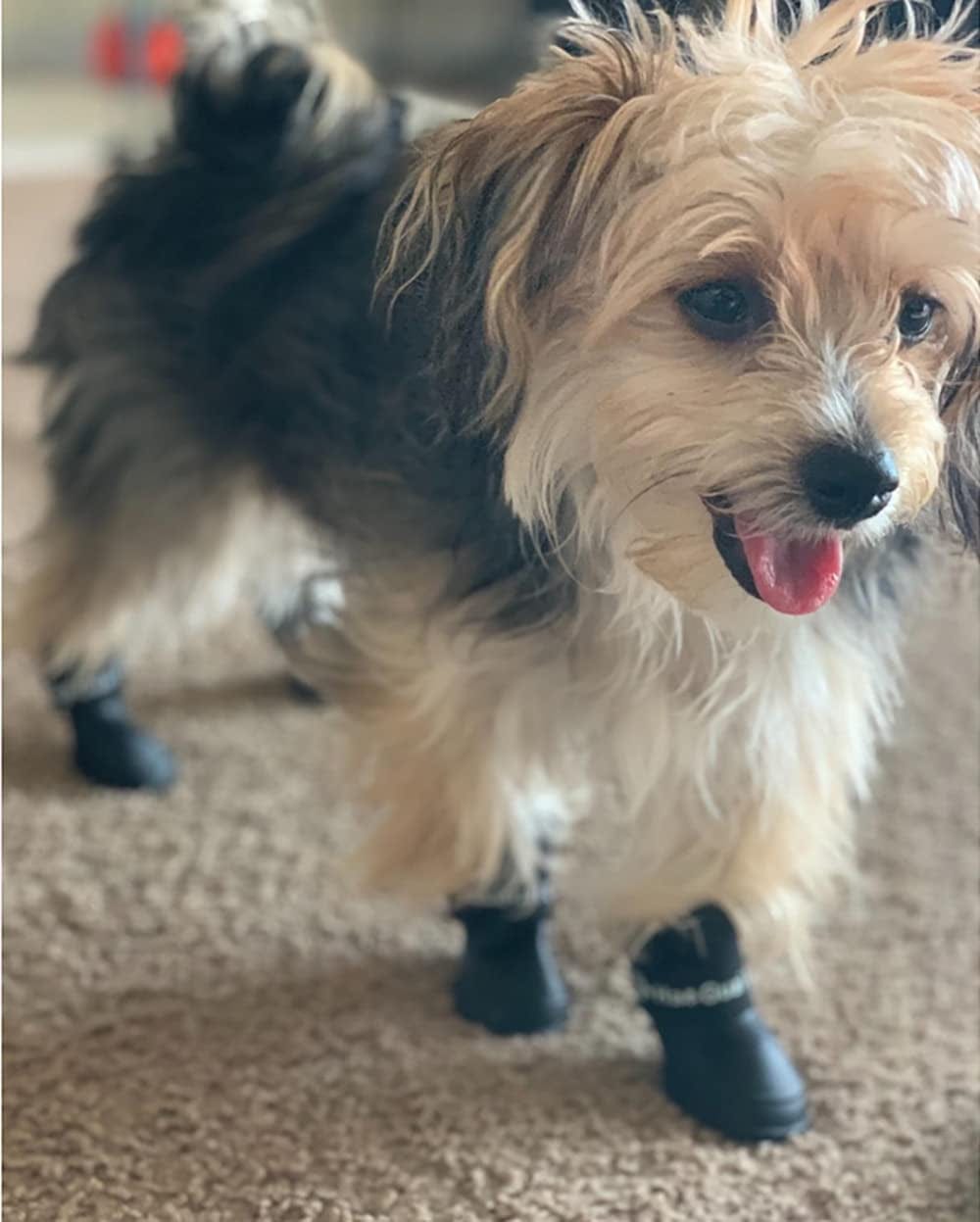 Cdycam Puppy Dogs Candy Colors Anti-Slip Waterproof Rubber Rain Shoes Boots Paws Cover (Black, Large) Animals & Pet Supplies > Pet Supplies > Dog Supplies > Dog Apparel Pesp   