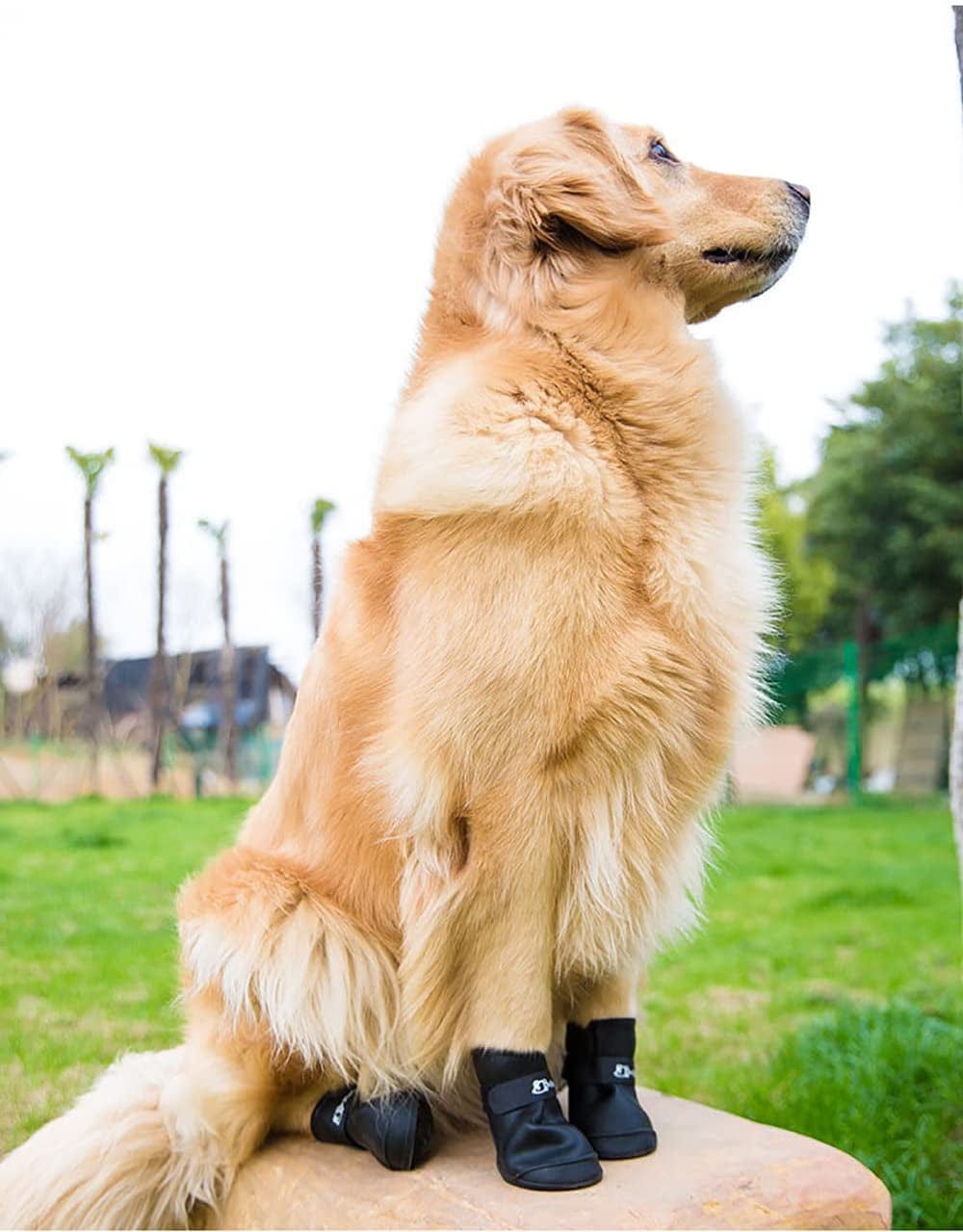 Cdycam Puppy Dogs Candy Colors Anti-Slip Waterproof Rubber Rain Shoes Boots Paws Cover (Black, Large) Animals & Pet Supplies > Pet Supplies > Dog Supplies > Dog Apparel Pesp   