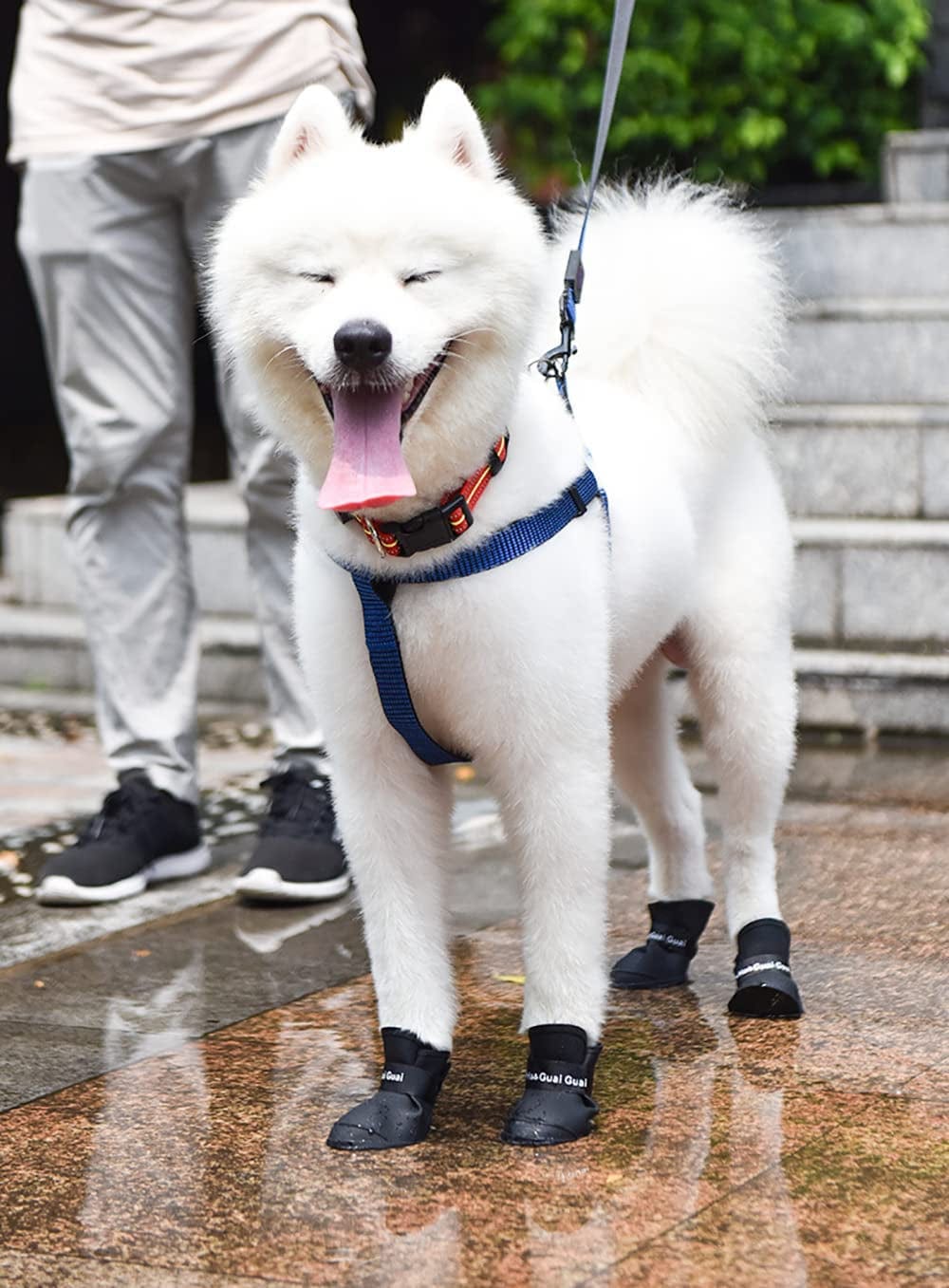 Cdycam Puppy Dogs Candy Colors Anti-Slip Waterproof Rubber Rain Shoes Boots Paws Cover (Black, Large) Animals & Pet Supplies > Pet Supplies > Dog Supplies > Dog Apparel Pesp   