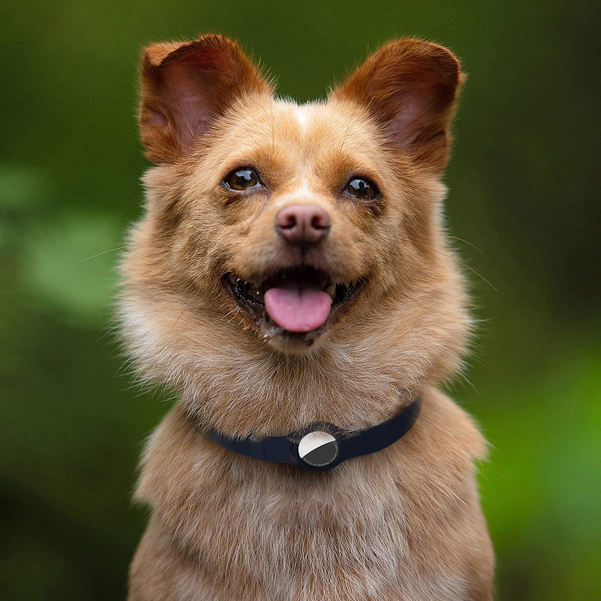 Mutural for Airtag Case 2021 ,Soft Silicone Dog Collar for Airtag ,Anti-Lost Lightweight Pet Collar ,Adjust and Easy-To-Clean Durable in Use-Black Electronics > GPS Accessories > GPS Cases Mutural   