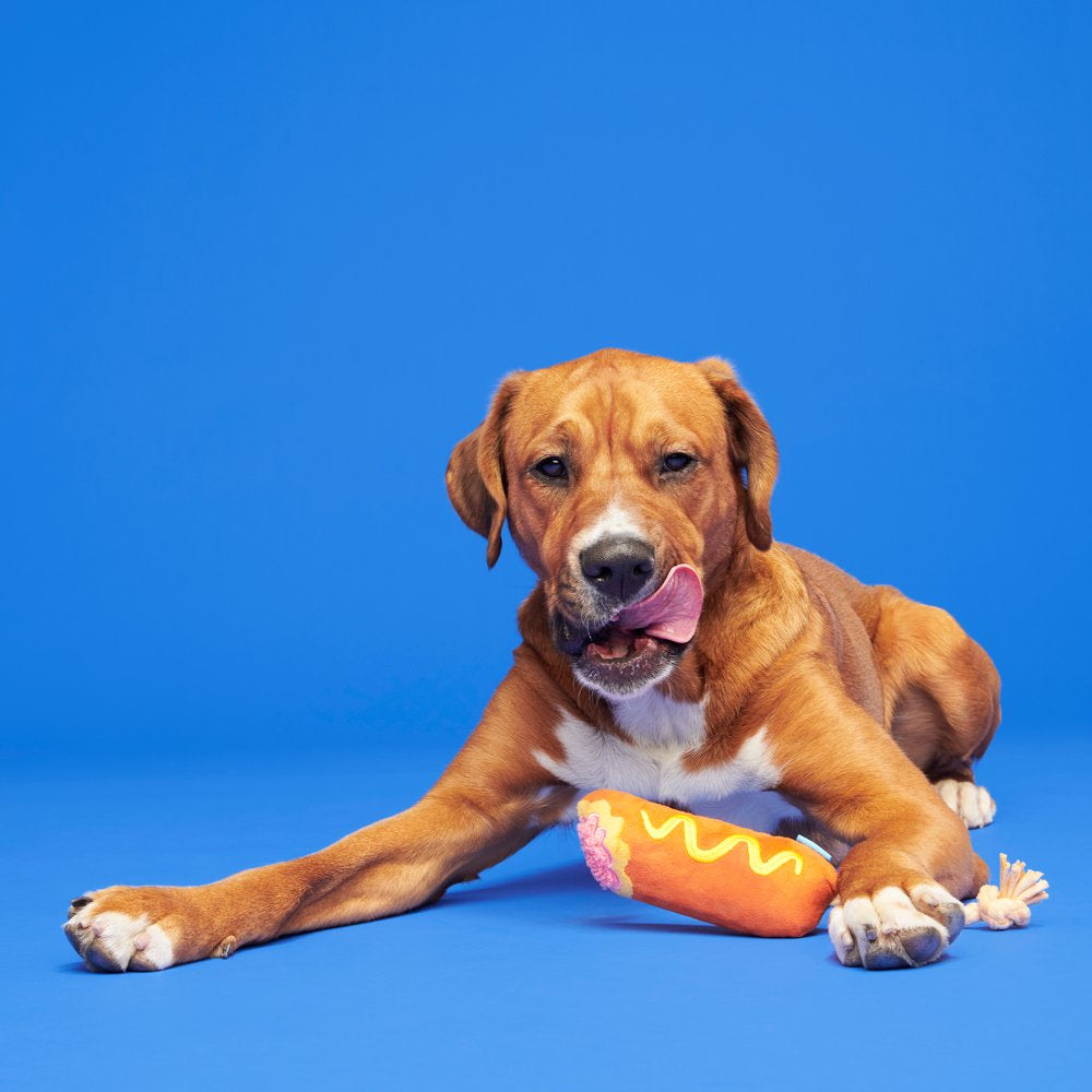 BARK Corn Dog Tug - Yankee Doodle Dog Toy, Great for Tug-O-War, XS-M Dogs