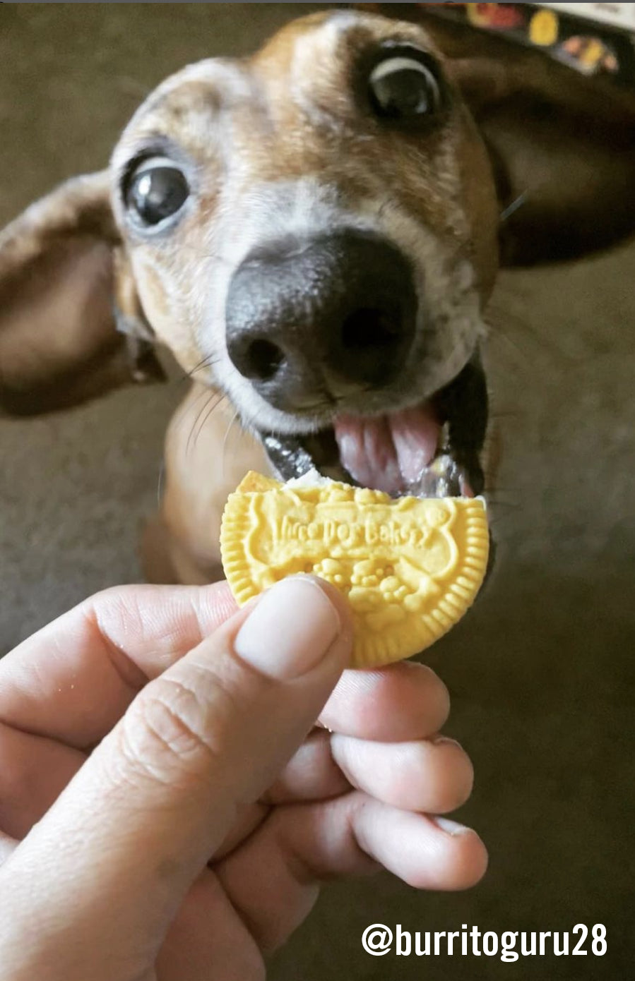 Dog treats that look hotsell like oreos