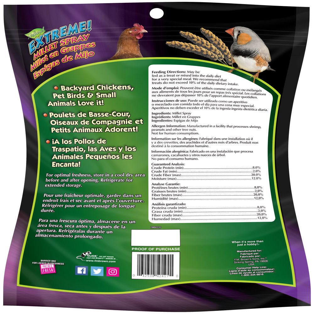 FM Brown Extreme Spray Millet 16 Oz. Animals & Pet Supplies > Pet Supplies > Bird Supplies > Bird Treats FM Browns Sons, Inc   