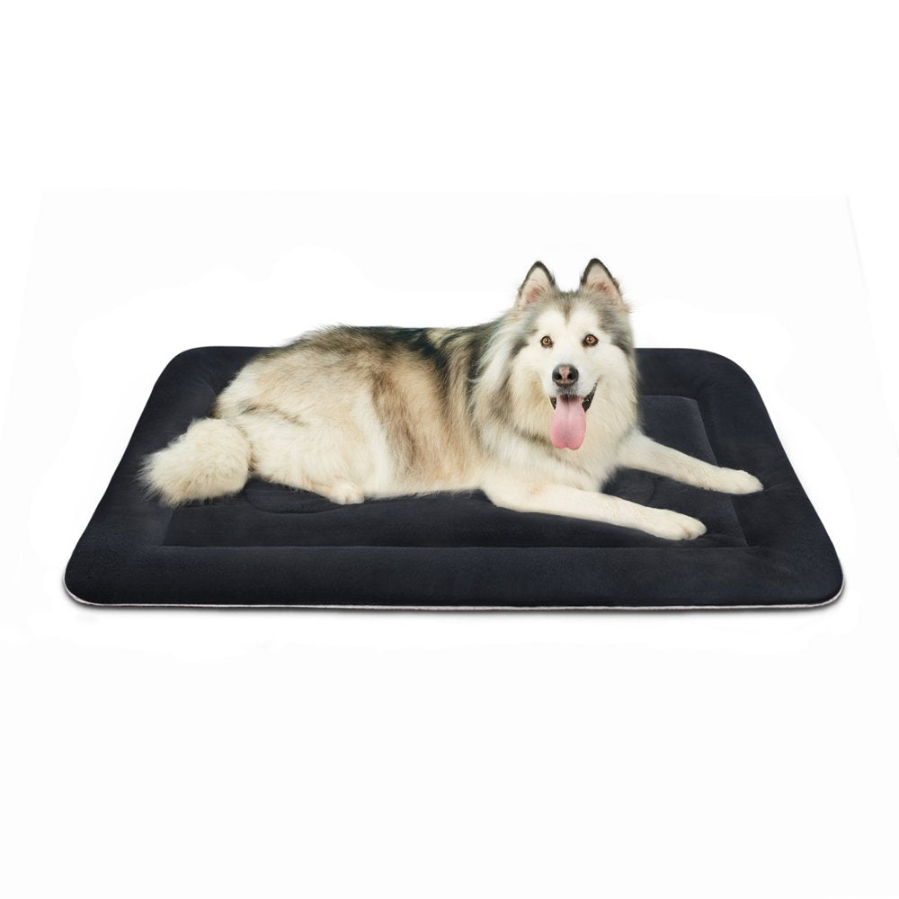 Joicyco clearance dog bed