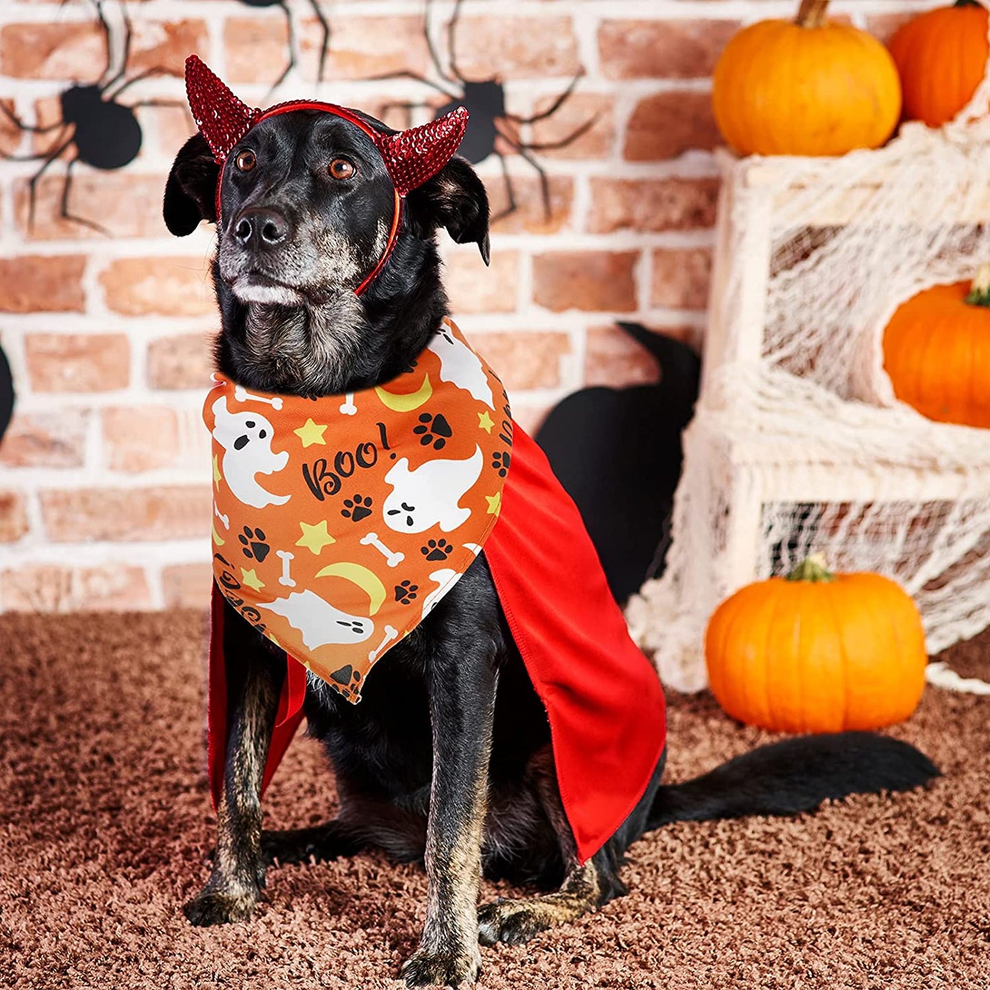 12 Pieces Halloween Dog Bandanas Triangle Dog Scarf Adjustable Holiday Pet Bandana Washable Pet Bib Scarf with Halloween Themed Patterns for Pet Dogs Cats Holiday Costumes Accessories Decoration Animals & Pet Supplies > Pet Supplies > Dog Supplies > Dog Apparel Frienda   