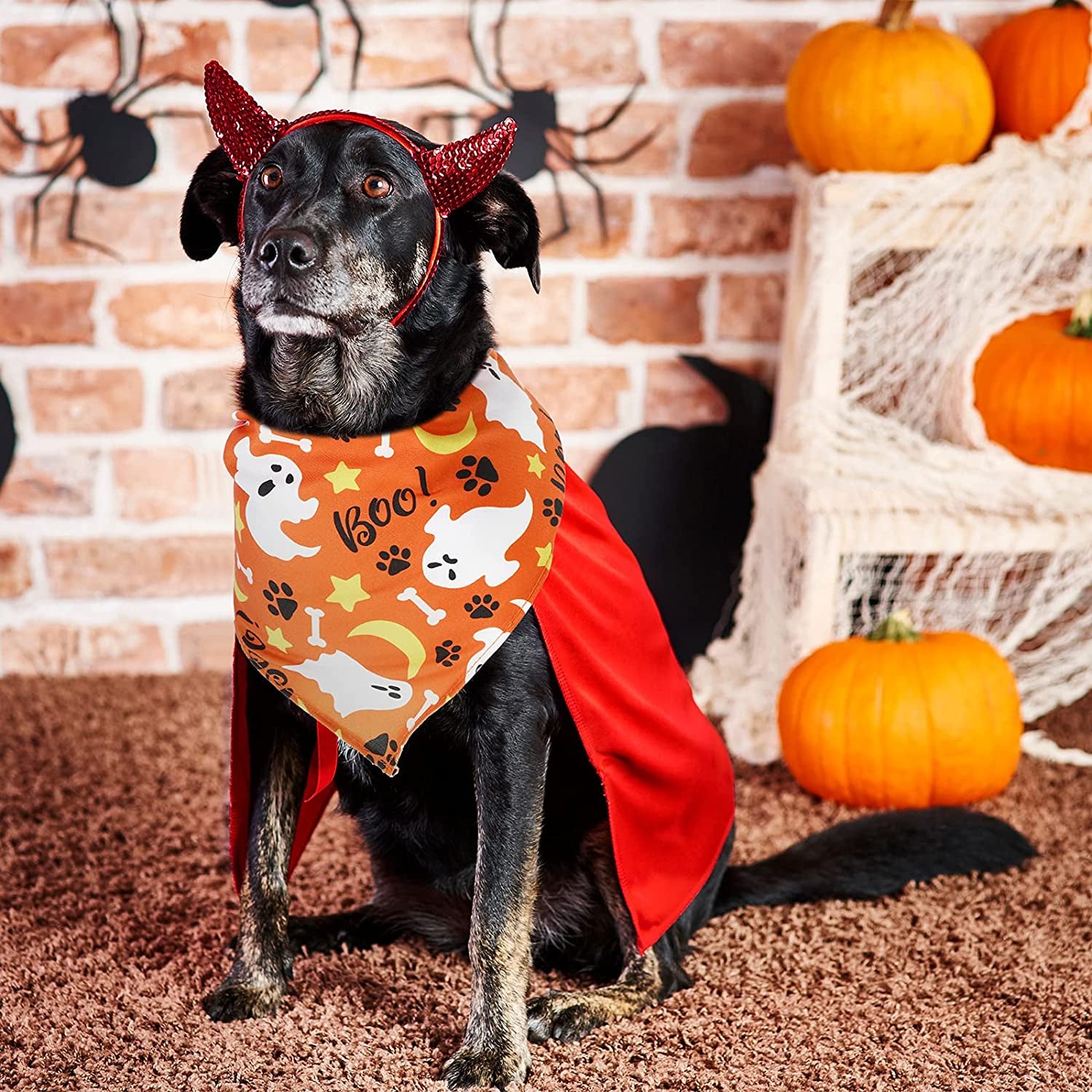 12 Pieces Halloween Dog Bandanas Triangle Dog Scarf Adjustable Holiday Pet Bandana Washable Pet Bib Scarf with Halloween Themed Patterns for Pet Dogs Cats Holiday Costumes Accessories Decoration Animals & Pet Supplies > Pet Supplies > Dog Supplies > Dog Apparel Frienda   