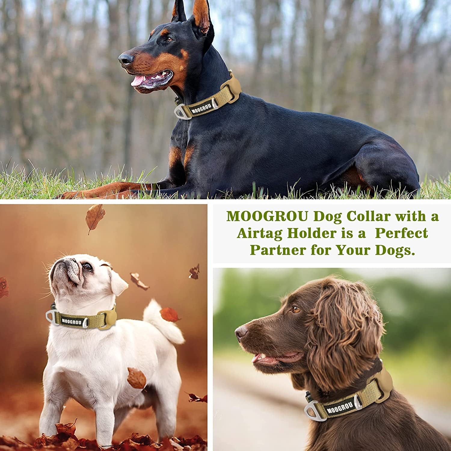 MOOGROU Dog Collar with Airtag Holder,Quick-Release Metal Buckle Heavy Duty Pet Collar for Small Medium Large Dogs,Premium Adjustable Nylon Airtag Dog Collar with Soft Neoprene Padded Comfy 1"1.2"1.5"