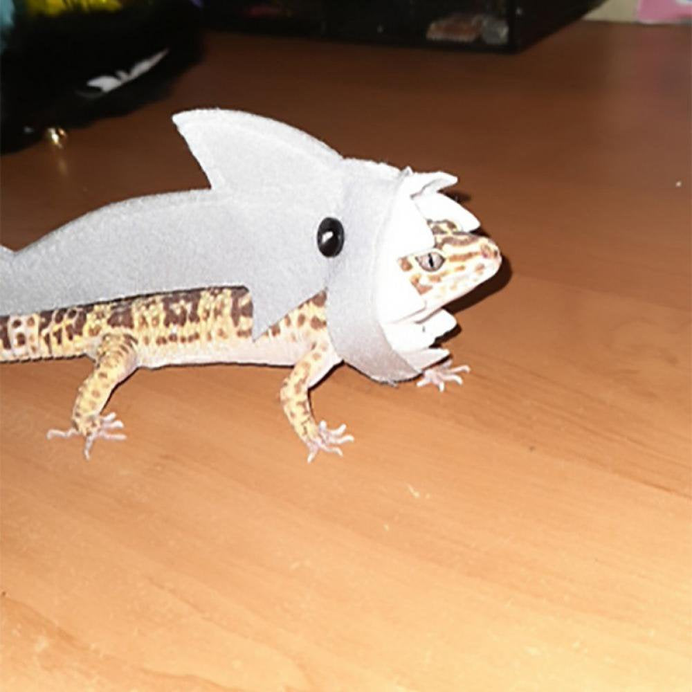 Clearance! Bearded Dragon Shark Outfit Lizard Reptile Shark Costume Handmade Felt Bearded Dragon Harness for Chameleon Gecko Anole Iguana Amphibians, Gray, S Animals & Pet Supplies > Pet Supplies > Dog Supplies > Dog Apparel Peyan   