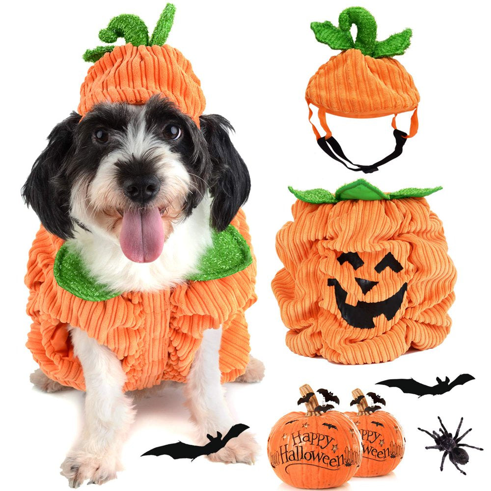 Dog Christmas Shirt, TINGOR Pet Clothes, Cute Cat Dog Christmas Pumpkin Costumes, Dog Apparel, Christmas Costumes for Dogs, Creative Christmas Pumpkin Shirts for Dogs Animals & Pet Supplies > Pet Supplies > Cat Supplies > Cat Apparel TINGOR   