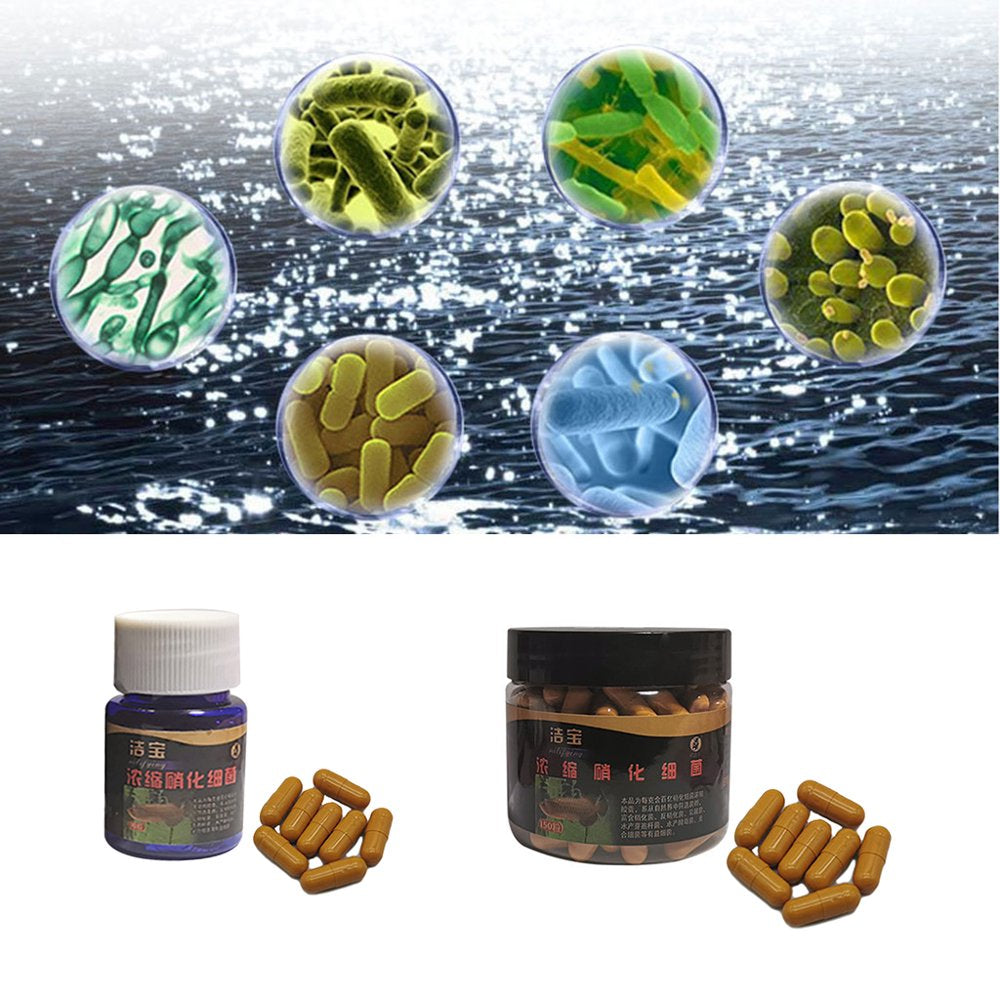 GRJIRAC Aquarium Nitrifying Bacteria Super Concentrated Capsule Fish Tank Pond Cleaning Water Purifier Supply Animals & Pet Supplies > Pet Supplies > Fish Supplies > Aquarium Cleaning Supplies GRJIRAC   