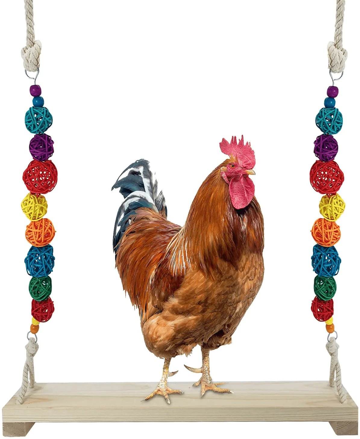 Chicken Swing,Chicken Perch,Wood Stand for Chick,Ladder Toys for Bird,Handmade Coop Swing for Chicken Bird,Parrot,Hens,Small Parakeets,Cockatiels,Macaws,Large Pet, Safe and Relief of Stress Animals & Pet Supplies > Pet Supplies > Bird Supplies > Bird Ladders & Perches Sufford   