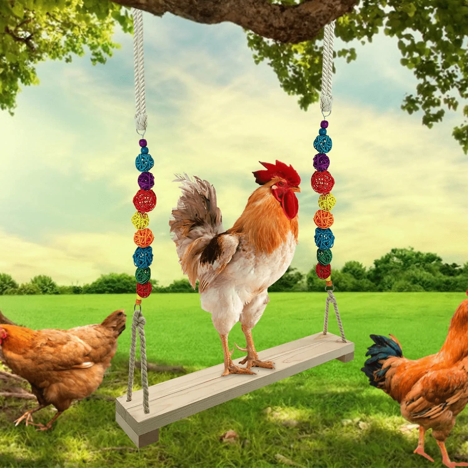 Chicken Swing,Chicken Perch,Wood Stand for Chick,Ladder Toys for Bird,Handmade Coop Swing for Chicken Bird,Parrot,Hens,Small Parakeets,Cockatiels,Macaws,Large Pet, Safe and Relief of Stress