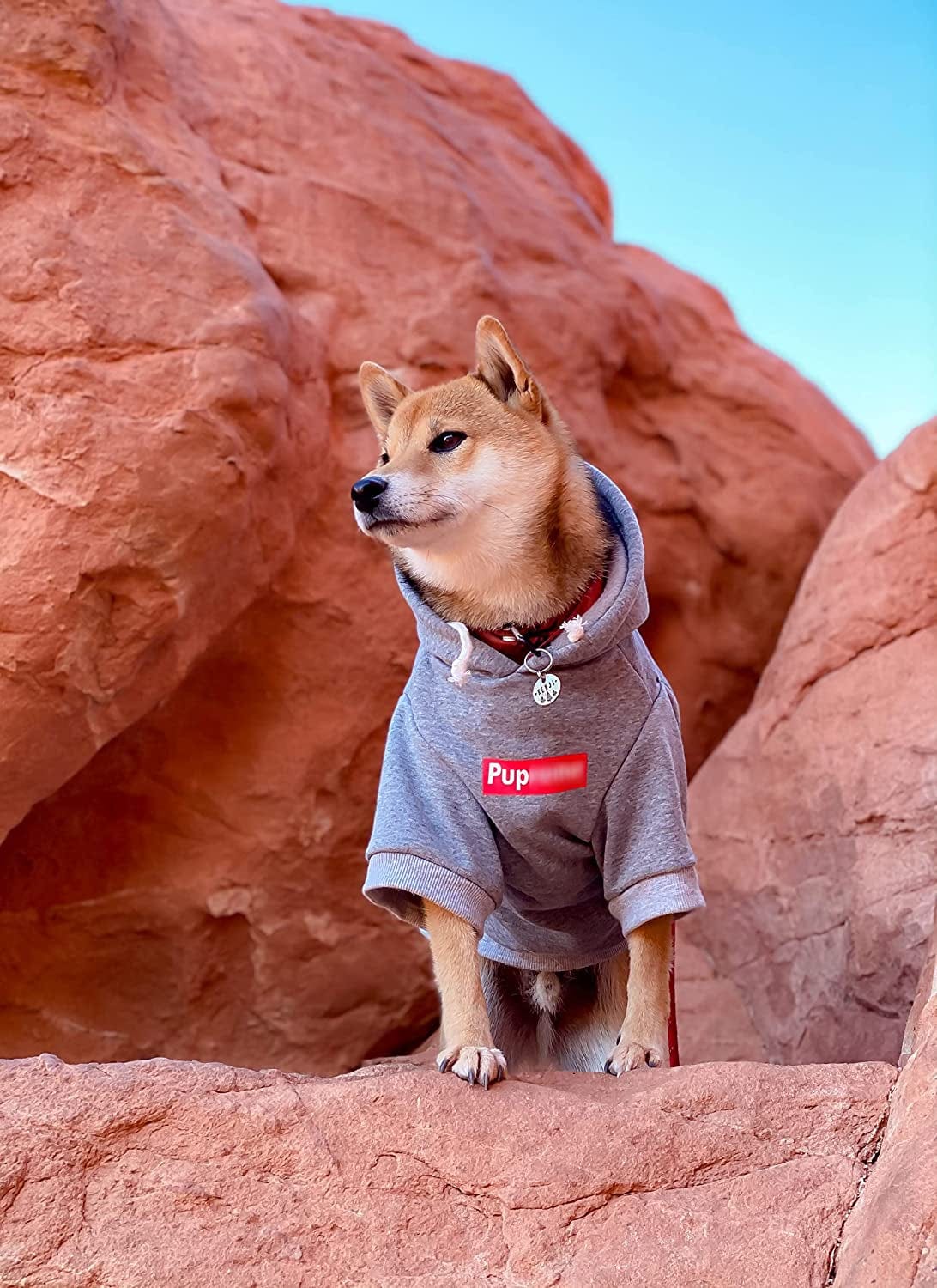 Supreme puppy store hoodie